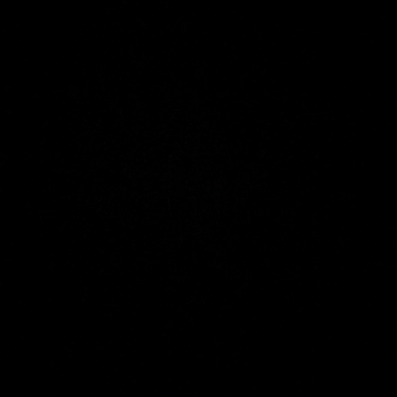 celinearmi2019